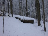 DSCN0886.JPG