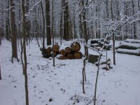 DSCN0887.JPG