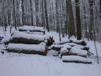 DSCN0888.JPG