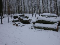 DSCN0889.JPG
