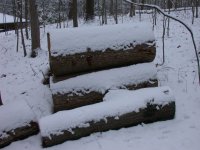 DSCN0890.JPG