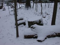 DSCN0891.JPG