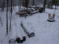 DSCN0894.JPG