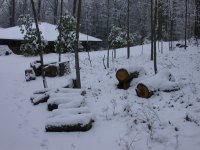 DSCN0895.JPG