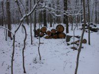 DSCN0896.JPG