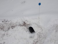 Patrice's Mailbox EM.JPG