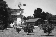 tankhouse2.jpg