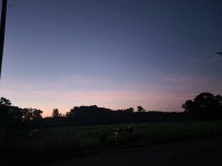 20250725_053538.jpg