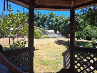 gazebo and house.jpg