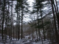 DSCN0805.JPG