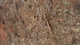 20150425_135133.jpg