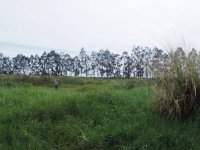 HouseDSCF0042.JPG