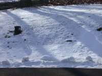 DSCN0901.JPG