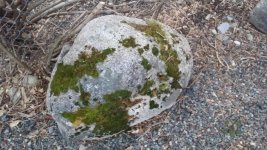 20150328_192803.jpg