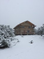 image-1373598484.jpg