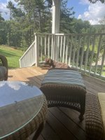 IMG_1880.jpeg