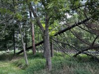 IMG_4402.JPG