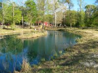 3-28-15 Island DuckPond from Dam Far End.jpg