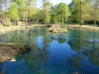 3-28-15 Island DuckPond from Dam Far End 3.jpg
