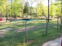 3-28-15 Small Pond Blue Dye.jpg