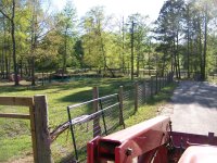 3-28-15 Both Pond's View from Mailbox.jpg