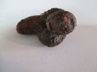 bulb 1.jpg