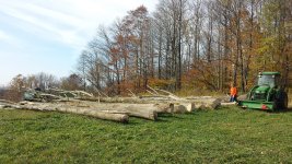 20141024_151338.jpg