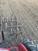 IMG_7112.jpeg