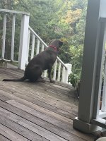 IMG_1882.jpeg