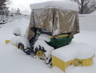 aaa4020snowy1.jpg
