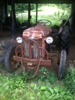 IMG_2219.jpg