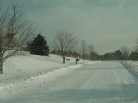 DSC04303.JPG