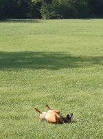 20250716_171720_HDR~2.jpg