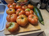 IMG_4964[1].JPG