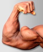 big_biceps.jpg