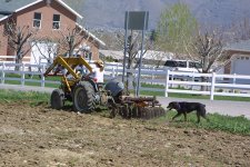 IMG_0130sml.jpg