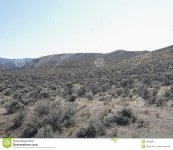 Sage brush in a valley of high desert landscape with mountain range in ___.jpg