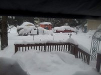 bliz 2015 001.jpg