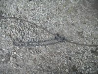 Endless chain1.JPG