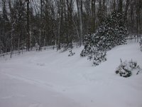 DSCN1087.JPG