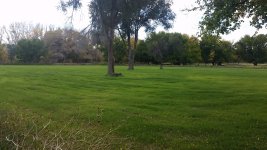 20141102_133354.jpg