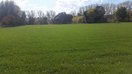 20141102_133238.jpg