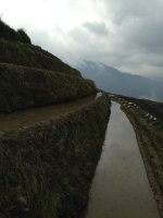 Rice Terraces.JPG
