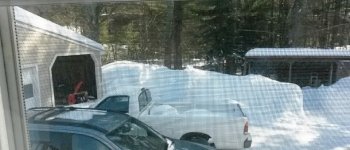 driveway.jpg