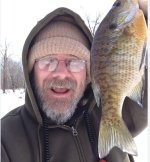 Bluegill3.JPG