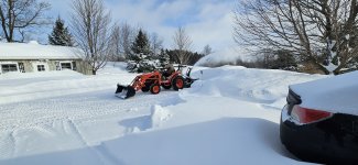 20250218_095502.jpg