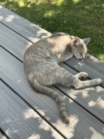IMG_2524.jpeg