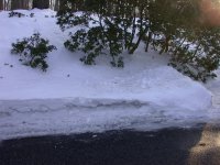 DSCN1100.JPG