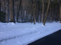 DSCN1106.JPG