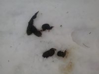 150307_001.jpg